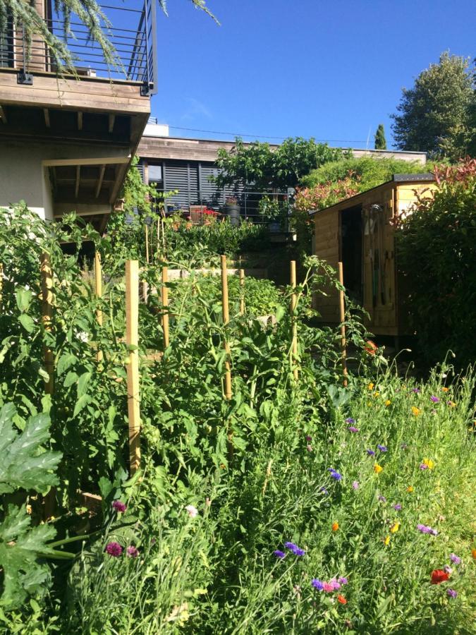 Les Terrasses De Rochetaillee Bed & Breakfast Exterior photo